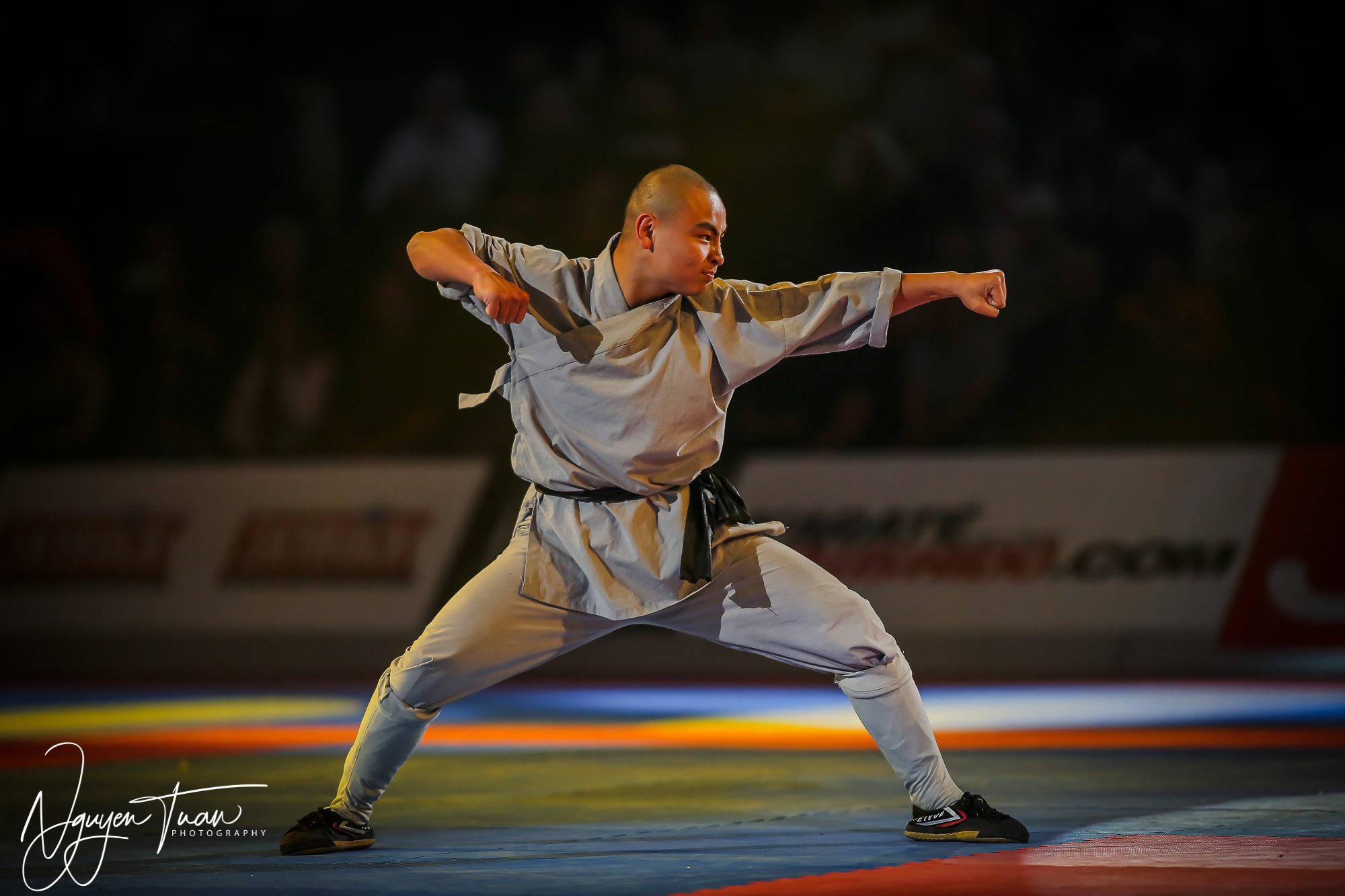 20190324 Festival des Arts Martiaux 5384